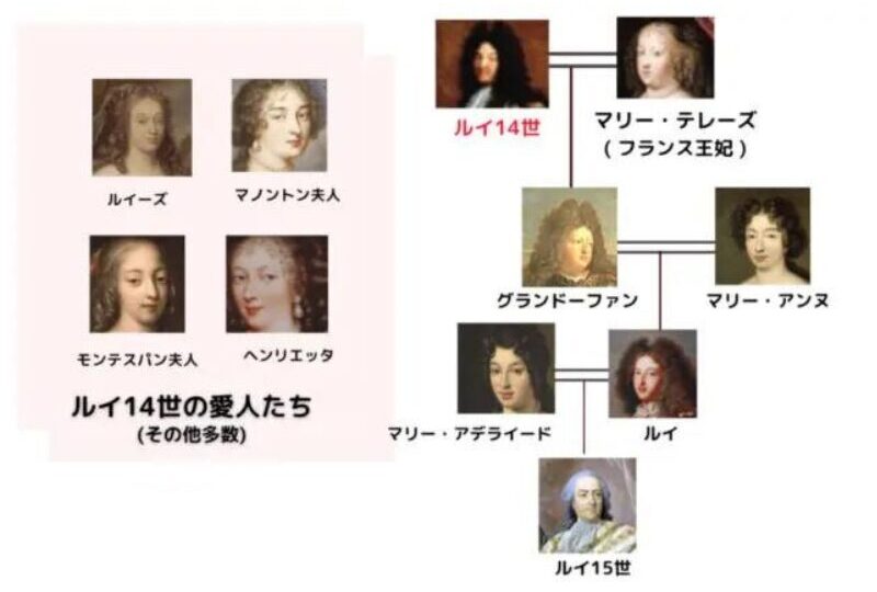 louis 14 family tree